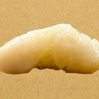 Hotate (Giant Scallop)