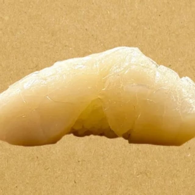 Hotate (Giant Scallop).