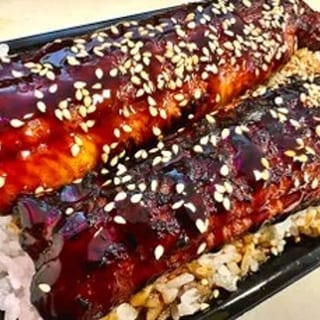 Unagi Don