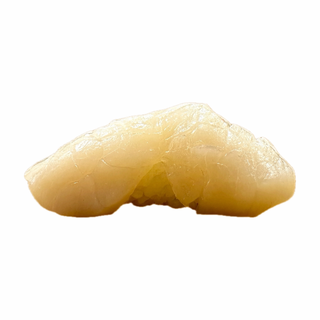 Hotate (Giant Scallop)