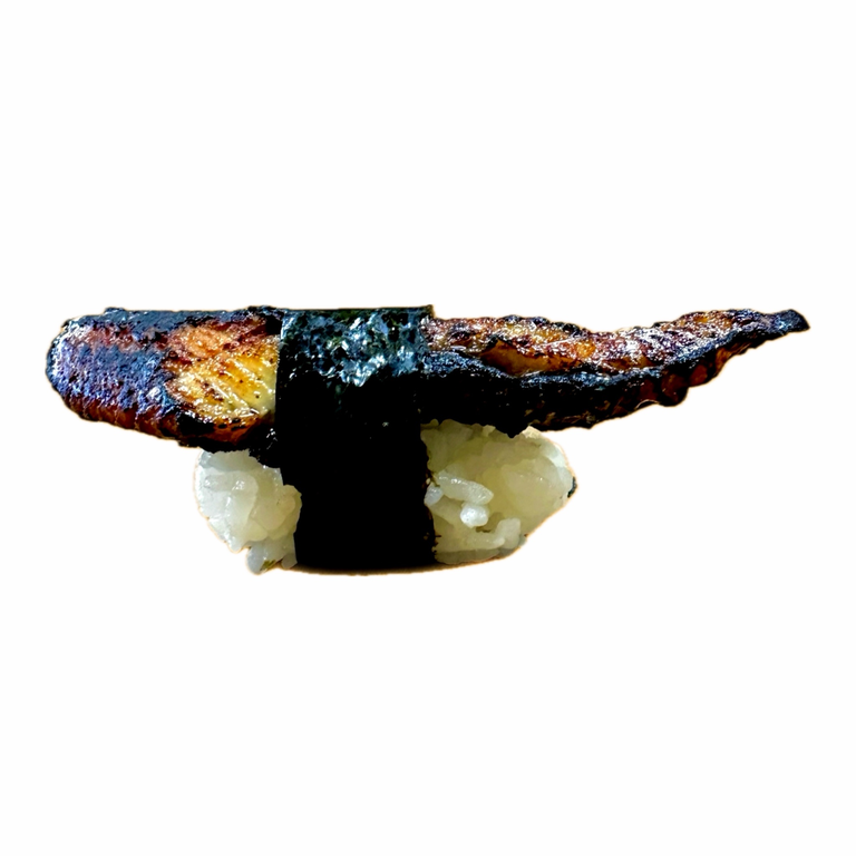 Unagi: A Japanese Treasure